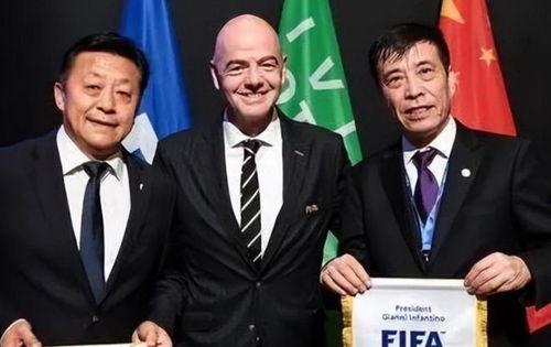 体育刘凯爆料视频,独家视频揭秘不为人知的幕后故事