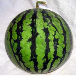 福州西瓜最新爆料,最新爆料揭秘口感与品种大比拼 第2张 福州西瓜最新爆料,最新爆料揭秘口感与品种大比拼 第2张